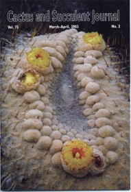 pseudolithos-gigas.jpg
